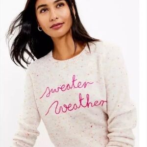 Ann Taylor LOFT 'Sweater Weather' Embroidered Speckled Crew Sweater Large